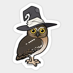 Elf Owl Witch Sticker